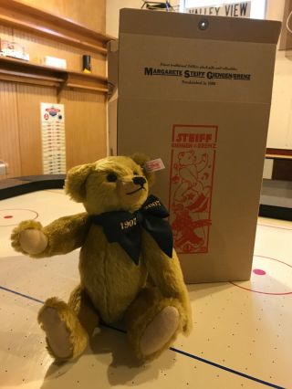 Steiff Bear With Steiff Box