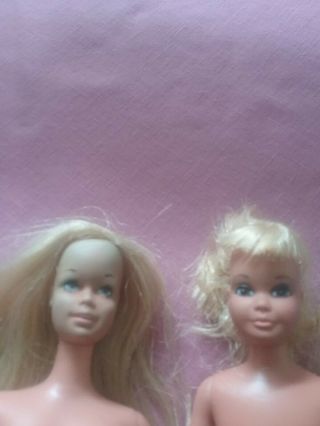 1970 ' s Malibu Barbie and Malibu Skipper 3