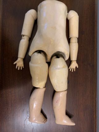 12 1/2” Antique German Composition Doll Body.