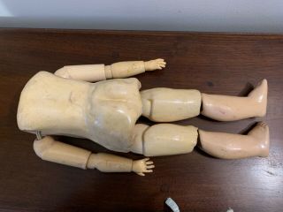 12 1/2” antique German composition doll body. 2