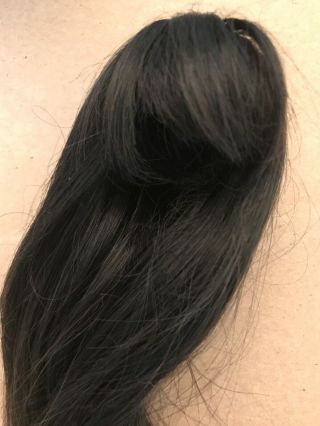 Size 5/6 long brunette doll wig with bangs. 2