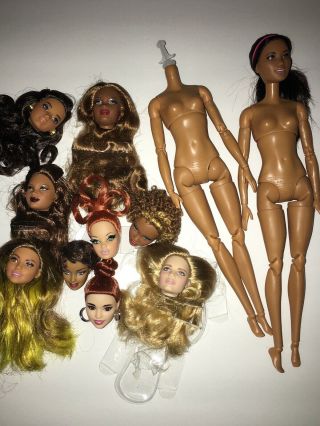 Mattel Barbie Doll Heads And Bodies