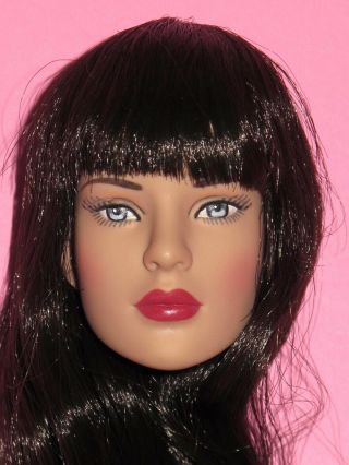 Tonner - Diana Prince Basic 16 " Fashion Doll Head