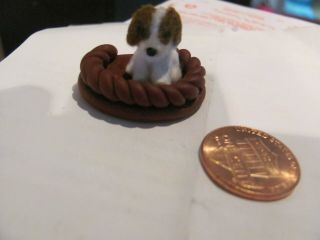 1/12 Scale Dollhouse Miniature Tiny Puppy And Bed