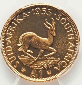 South Africa Gold Pound 1953 Queen Elizabeth II,  PCGS GEM PR66, 3