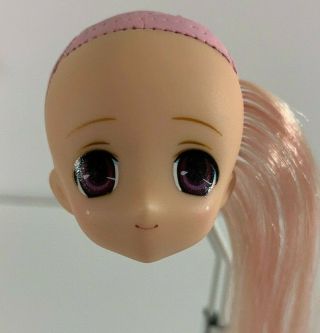Azone Pure Neemo Custom Sahra Head Doll Kawaii Anime Ruruko Fashion