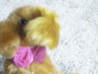 American Girl Doll Tenny Dog Waylon Golden retriever 3