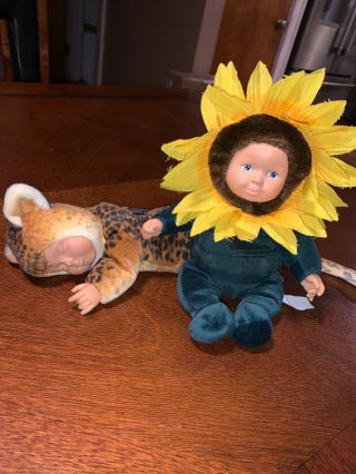 Anne Geddes Sleeping Tiger And Soft Sunflower