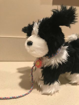 American Girl Doll Pet Dog Black & White,  accessories 3
