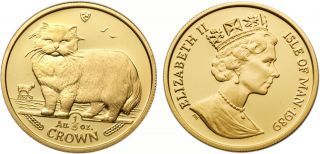 Isle Of Man 1989 Persian Cat 1/5 Oz Gold Proof Coin