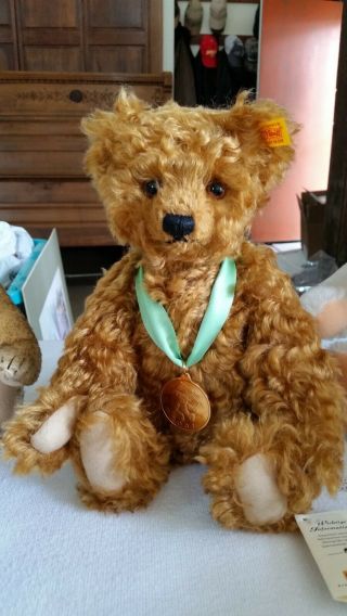 12 " Steiff 2007 Danbury Teddy Bear 669521 All Tags Attached Jointed