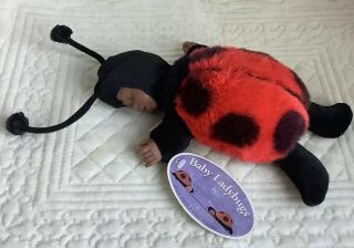 Baby Ladybugs By Anne Geddes,  9” Sleeping Soft Baby