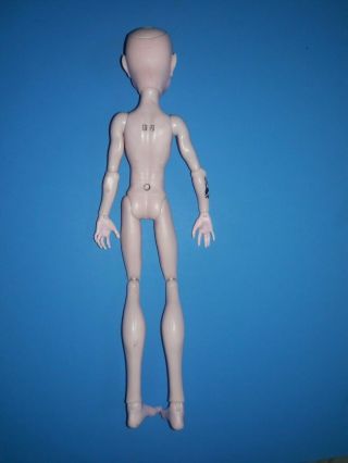 Monster High Doll Create A CAM Vampire Boy Nude Doll Torso Head Arms Legs, 3