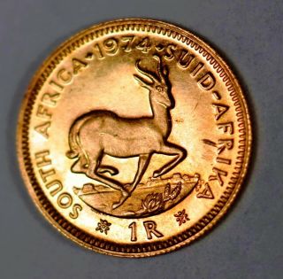 South Africa Gold One 1 Rand Coin 1974 Uncirculated
