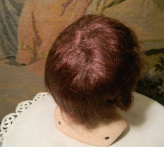 Antique Brown Mohair Wig,  Boy Or Baby 8 " C.