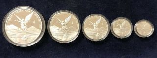 2011 Mexico Libertad 5 Coin Proof Set 1 1/2 1/4 1/10 1/20 Oz.  999 Silver