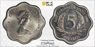 1986 East Caribbean States 5 Cent Pcgs Sp65 - Extremely Rare Kings Norton Proof