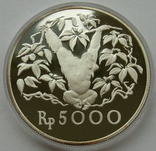 Indonesia 5000 Rupiah 1974 Orangutan Wwf Conservation Silver Proof Coin
