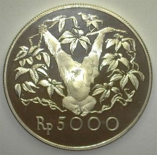 Indonesia 1974 Silver 5000 Rupiah Near Perfect Proof Dcam 17,  000 Minted