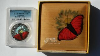 Cymothoe Hobarti Pr70dcam 2016 Silver Exotic Butterflies 1000 Shilling Pcgs
