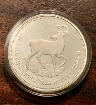 1974 Thailand 100 Baht Silver Proof Wwf Deer Coin 5194