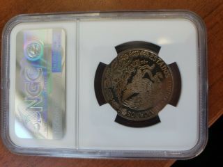 1982 1983 Mexico 1 Peso Proof Pf NGC PF66 Rare 3