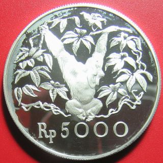 1974 Indonesia 5000 Rupiah Silver Proof Orangutan Wildlife Monkey Conservation