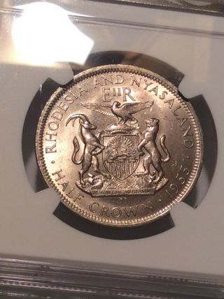 1955 Rhodesia And Nyasaland 1/2 Crown Ngc Ms - 63 Lustrous Example