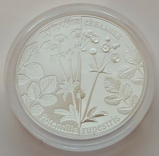 Belarus 20 Rubles 2017 Rock Cinquefoil 1 Oz Silver Coin