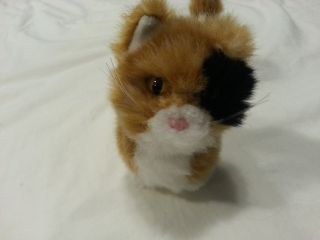 American Girl Doll Pet Cat Ginger Calico Kitty Collar Kitten