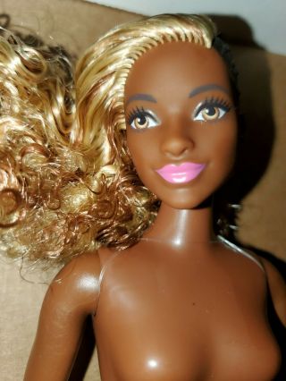 Fashionista 57 Zig & Zag Curvy Aa Barbie Doll Nude For Ooak Or Play
