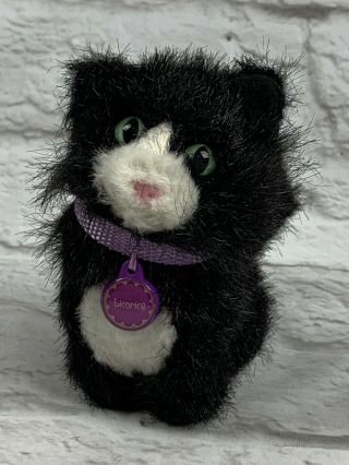 American Girl Retired Pet Cat Licorice With Purple Collar Black Kitty